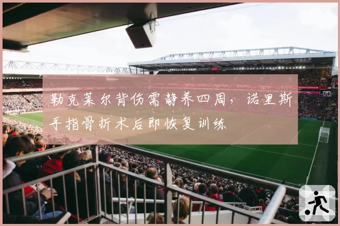 勒克莱尔背伤需静养四周，诺里斯手指骨折术后即恢复训练